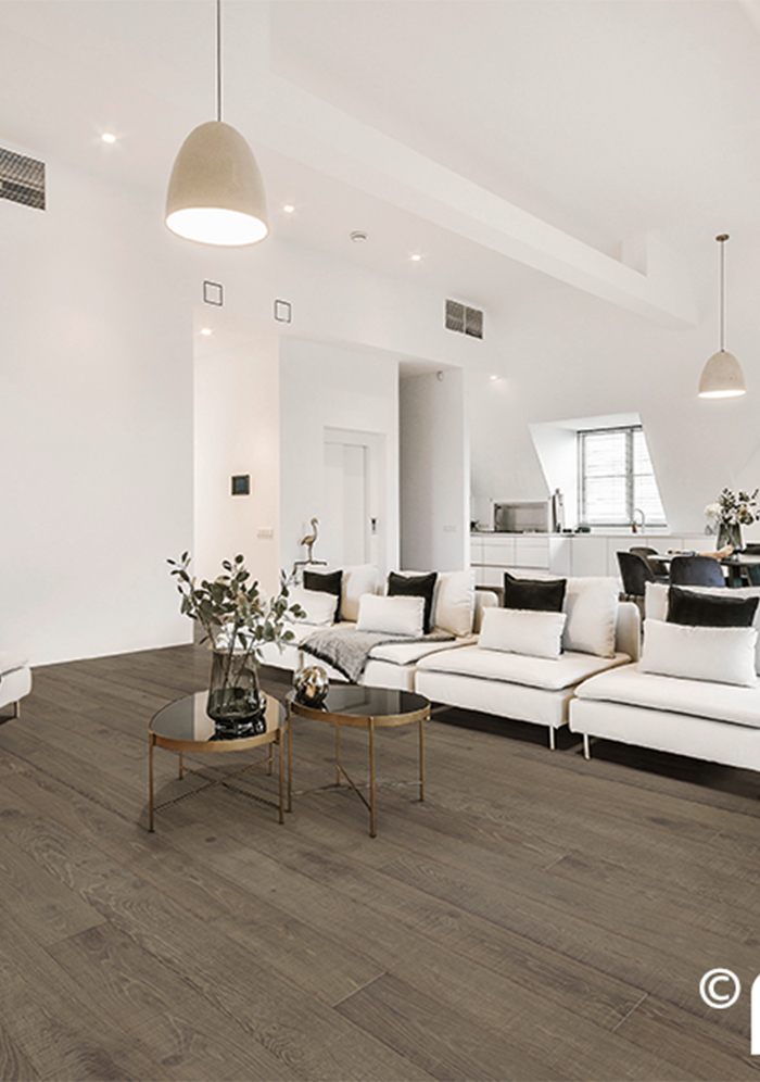 Scheucher Parkett Elevation KRK